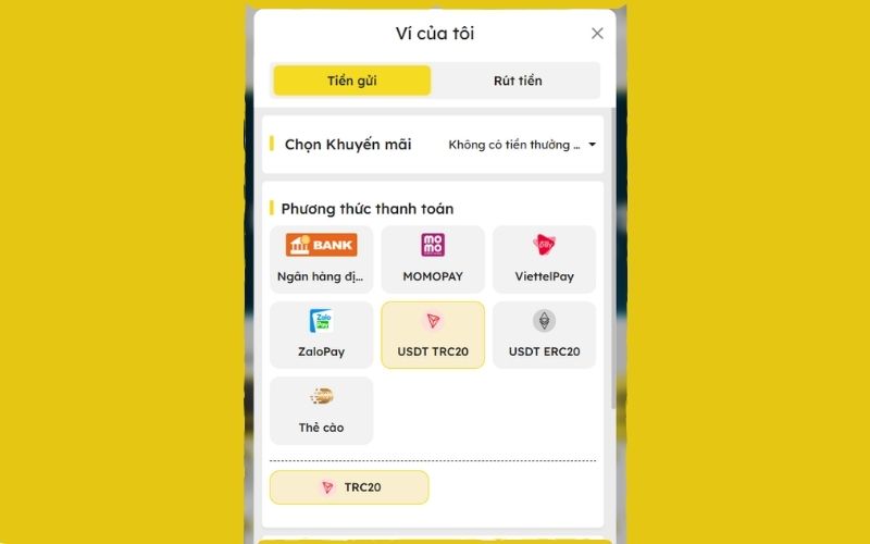 Chọn phương thức thanh toán USDT