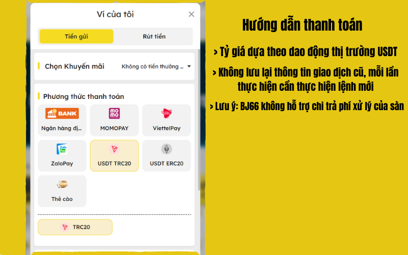Chọn phương thức thanh toán USDT