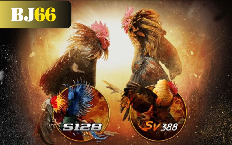 Đá gà trực tuyến đầy đủ các bồ với bình luận viên chuyên ngiệp