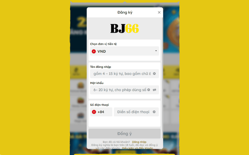 điền đầy đủ thông tin vào khung đăng ký BJ66