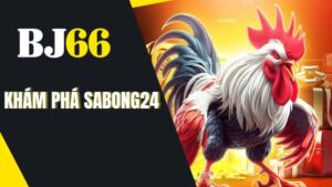 Khám Phá SABONG24