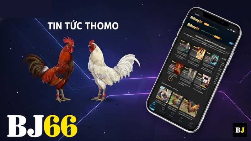Nền tảng liên tục cập nhật liên quan đến trường gà Thomo