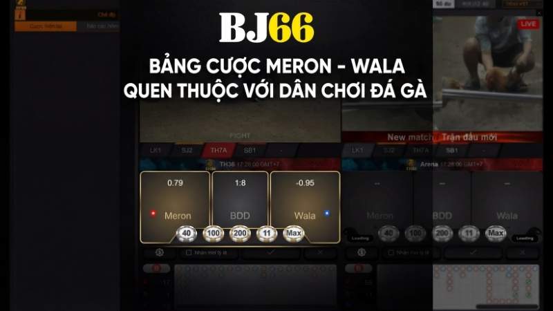 Bảng cược Meron - Wala quen thuộc với dân chơi đá gà