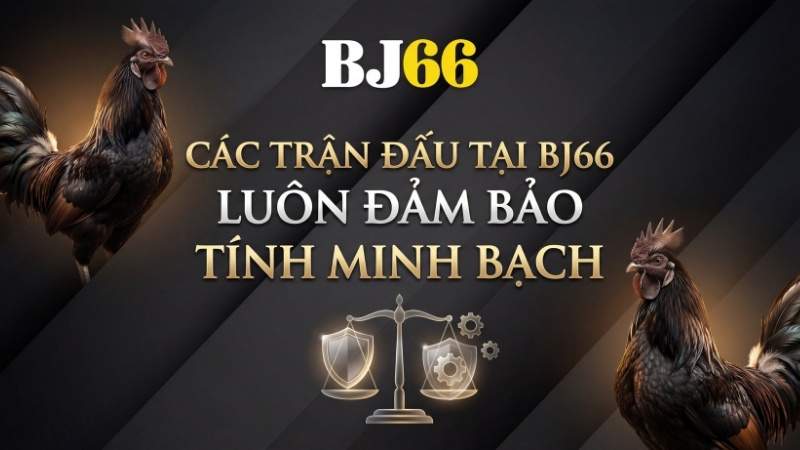 Các trận đấu tại BJ66 luôn đảm bảo tính minh bạch