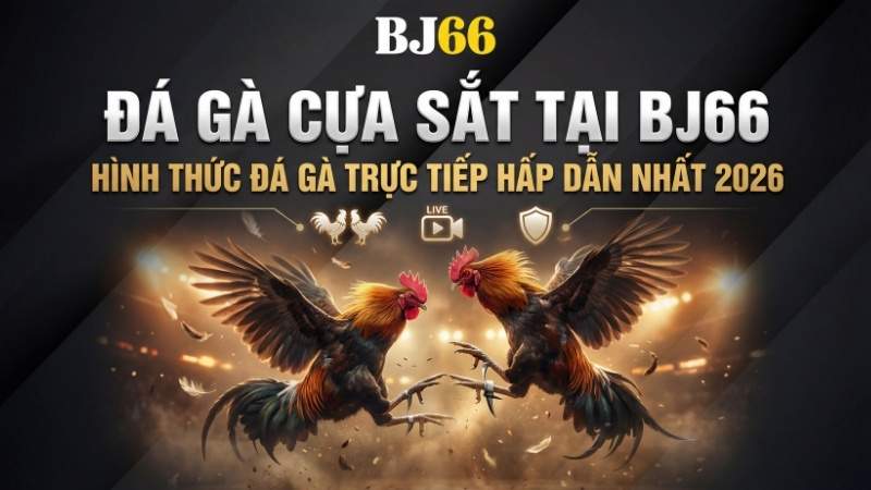 Đá Gà Cựa Sắt Tại BJ66 – Hình Thức Đá Gà Trực Tiếp Hấp Dẫn Nhất 2026