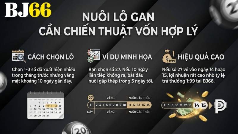 Nuôi lô gan cần chiến thuật vốn hợp lý