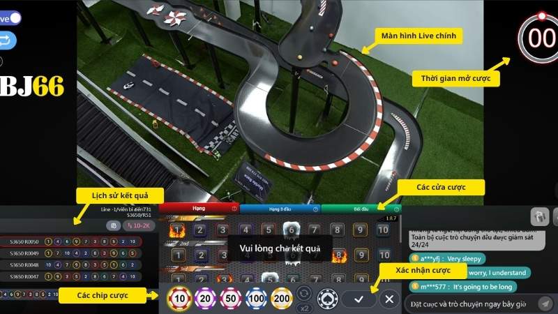 Quy trình đặt cược và theo dõi kết quả đua bi online
