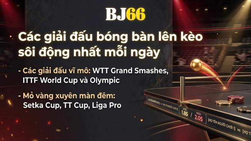 Các giải đấu bóng bàn lên kèo sôi động nhất mỗi ngày