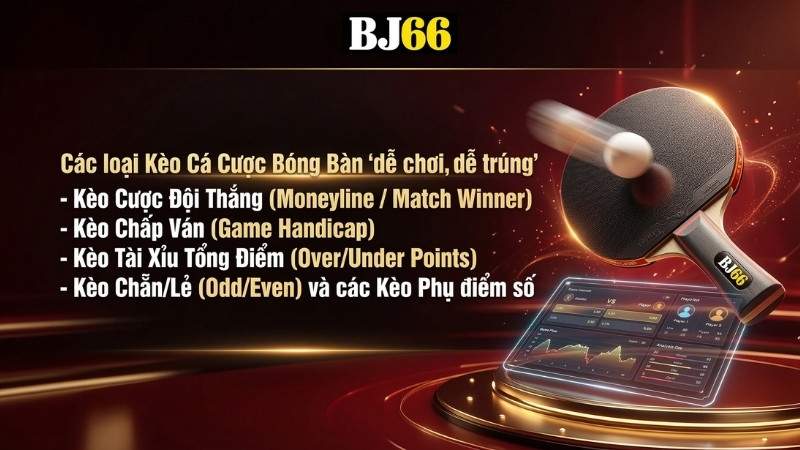 Các loại Kèo Cá Cược Bóng Bàn "dễ chơi, dễ trúng"