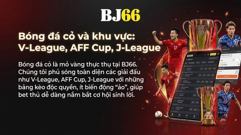 V-League, AFF Cup, J-League